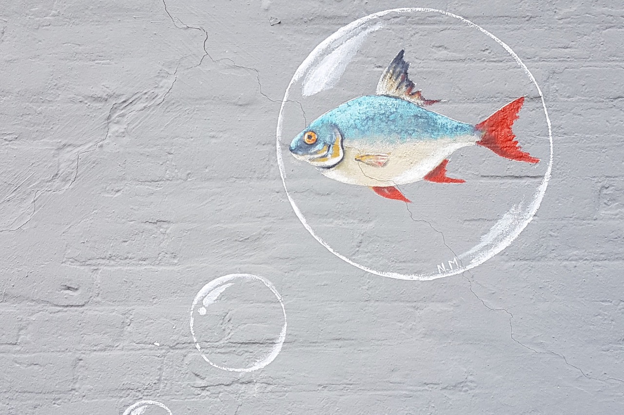 Mehrere größer werdende Gedankenkugeln auf eine grauen Hauswand gemalt. In der größten ist ein Fisch.