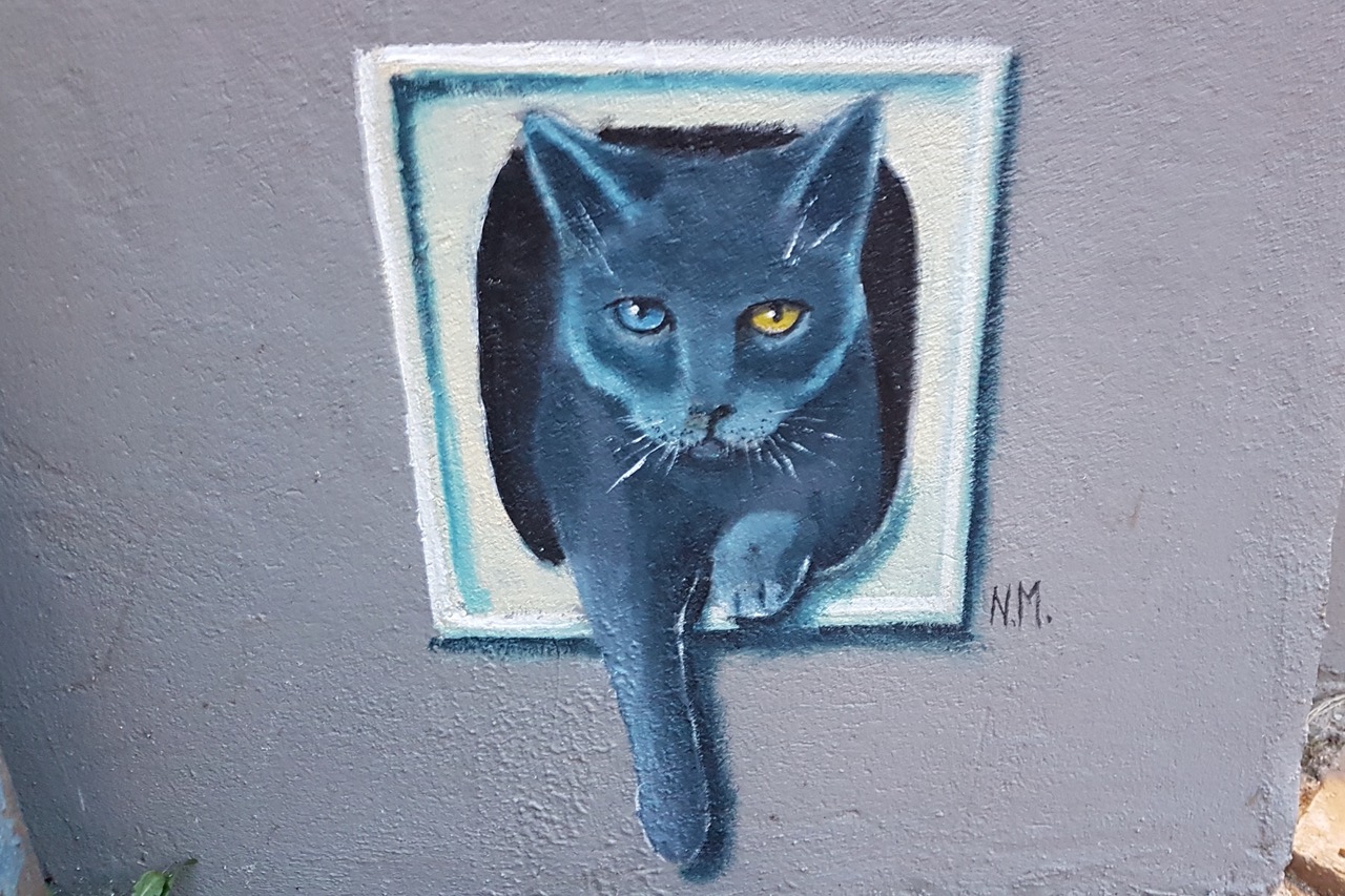 Eine schwarze Katze schaut aus der Katzenklappe, die auf eine Hauswand gemalt ist. Erstmal gucken was so geht, bevor sie durchschreitet.