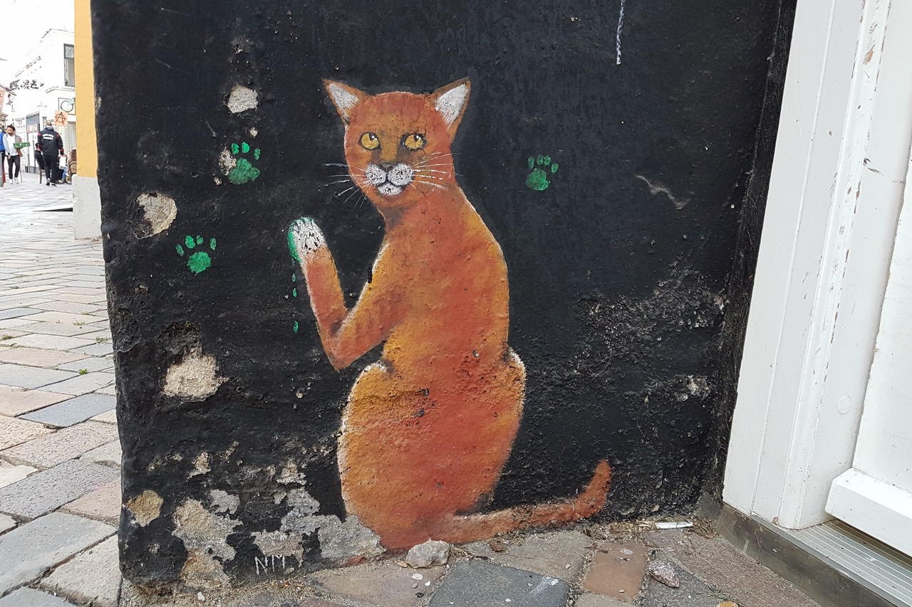 Eine freche Graffiti-Künstler-Katze ist an die Wand vor dem Aktivitetshuset in Flensburg gemalt. Neben ihr auf der Wand prangen grüne Abdrücke der Katzenpfoten.