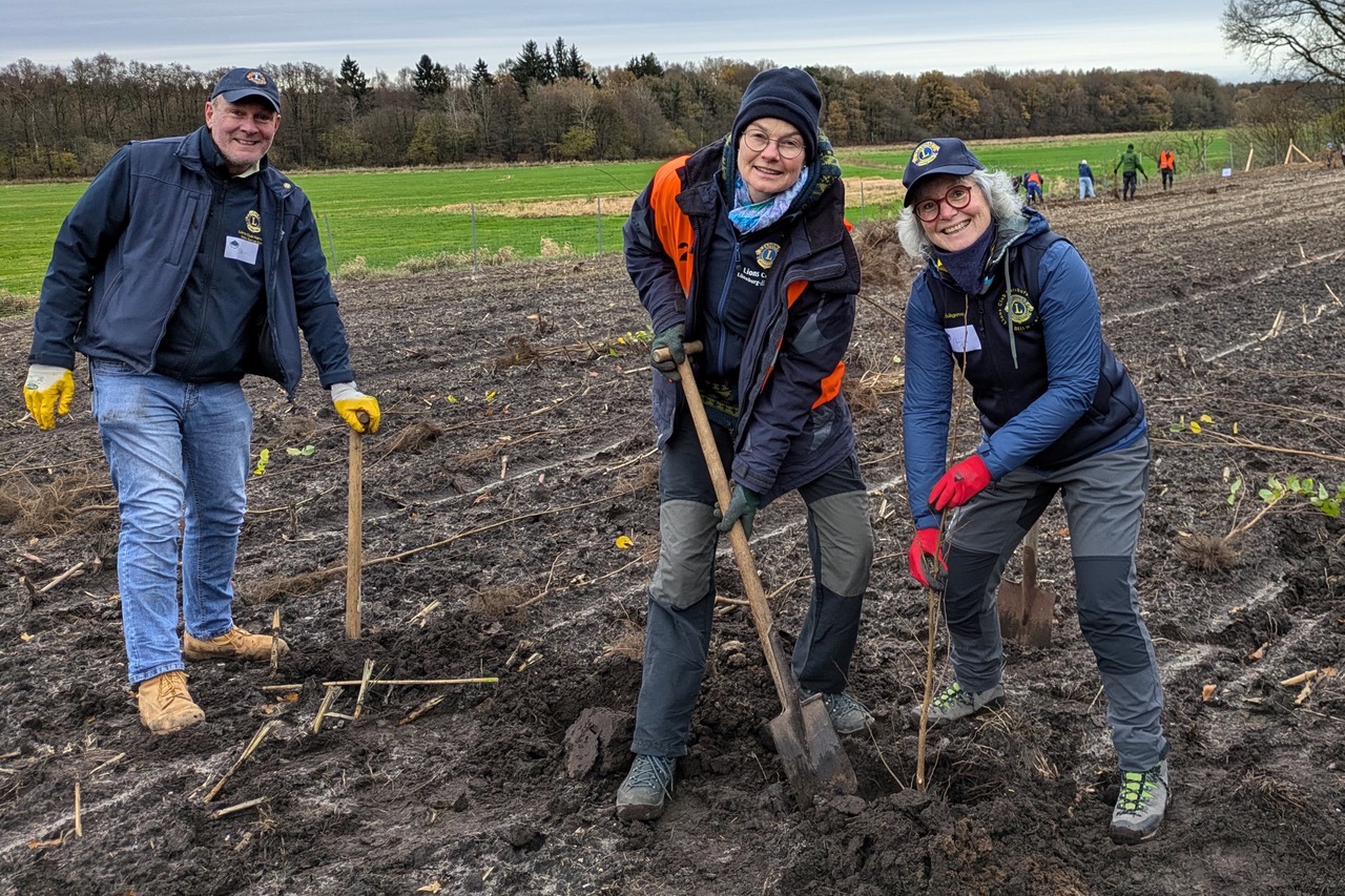 Drei Lionsfreunde helfen aktiv beim Pflanzen der jungen Bäume.