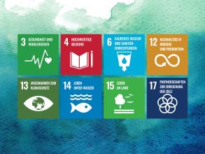 Acht der 17 UN-Ziele für eine nachhaltige Entwicklung sind abgebildet: Ziele 3, 4, 6, 12, 13, 14, 15 und 17